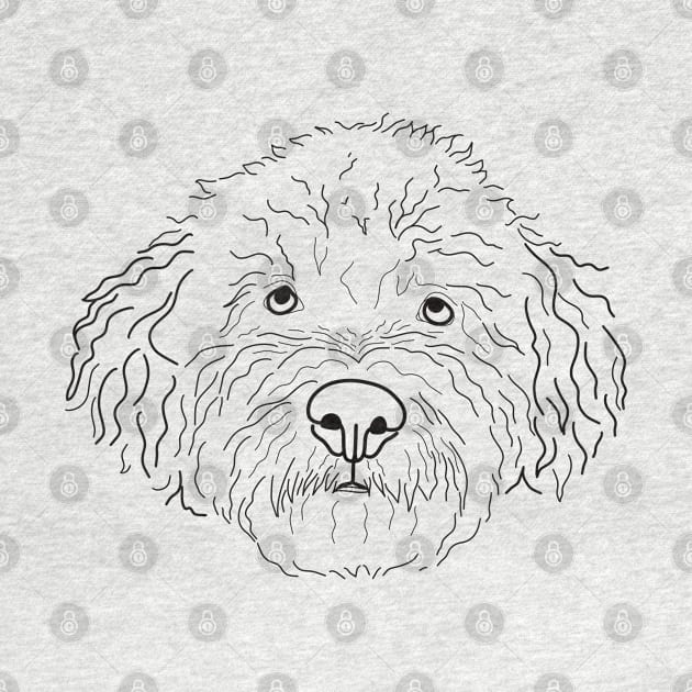 Lagotto Romagnolo by Libujos